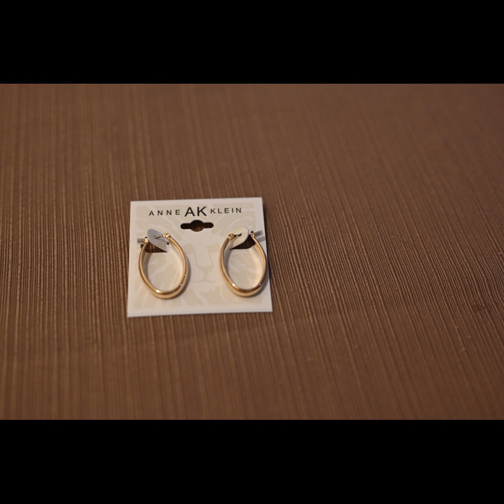 Brand New Anne Klein Earrings